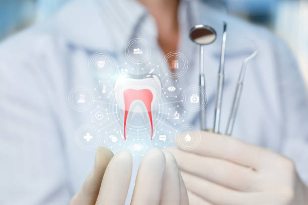 Best General Dentistry  in Elysburg, PA